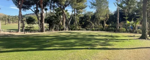 El-Plantio Match Winners 2025 Inbetweeners