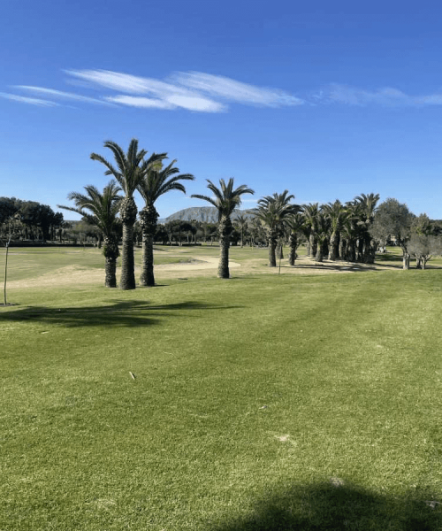 El Plantio Golf Course