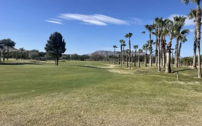 El Plantio Golf Course Inbetweeners Golf Society El Plantio Golf Course