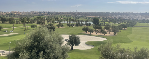 Inbetweeners at La Finca Golf Course