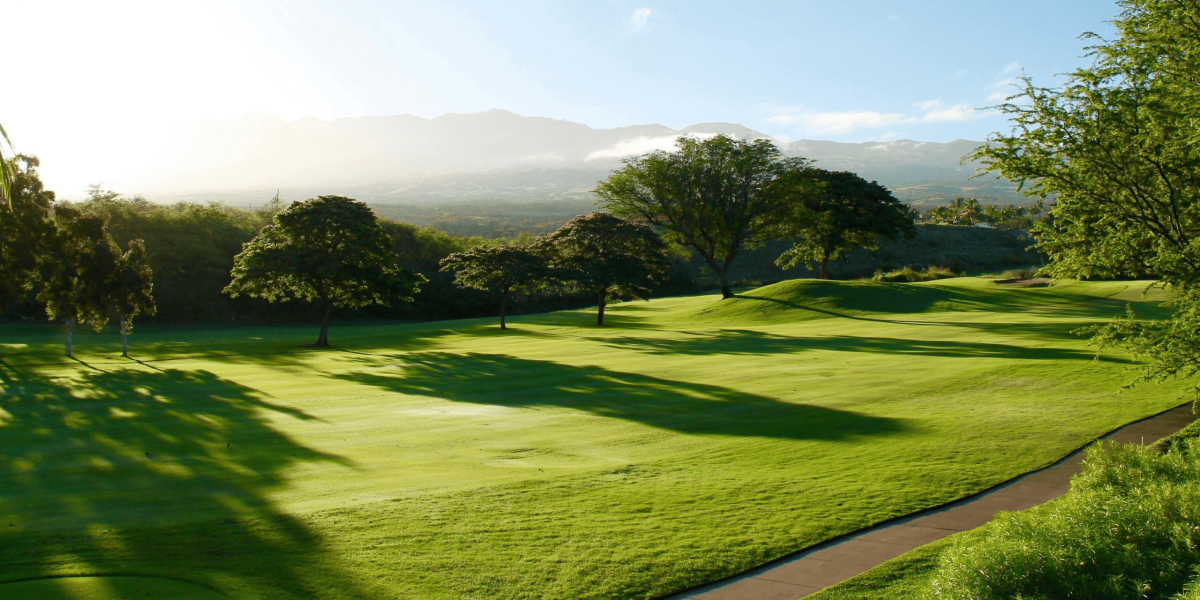 Inbetweeners Golf Society Golf View